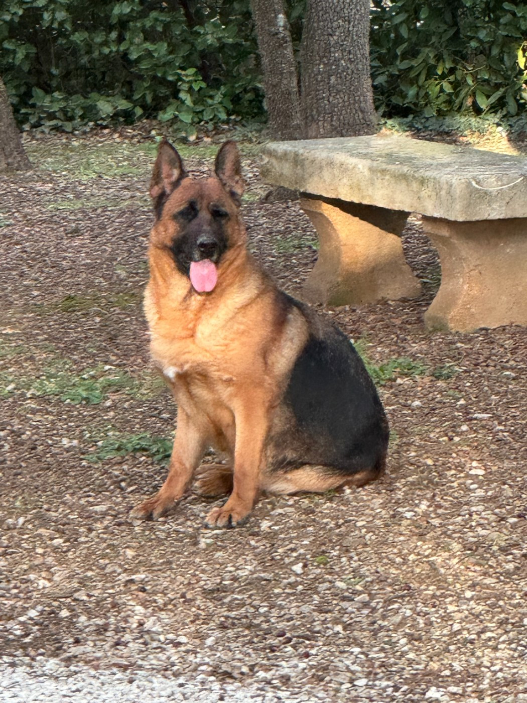 Una de la Petite Laeticia